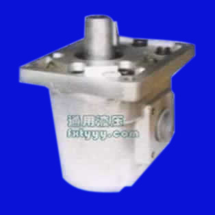 齿轮油泵CB-（100.115）