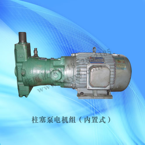柱塞泵电机组（内置型）