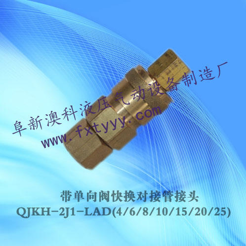 带单向阀快换对接管接头